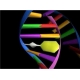 Gene Synthesis And Subcloning Services -  Customer Designed (GSS-CD)